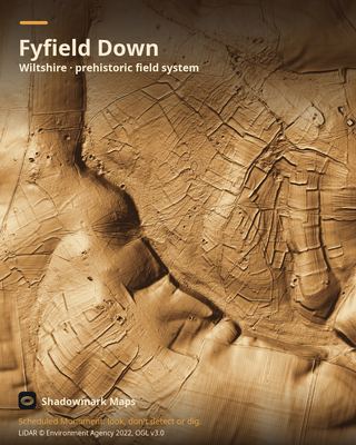 LiDAR shading of Fyfield Down