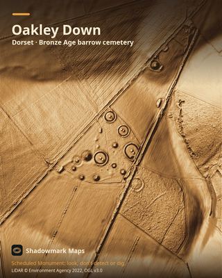 LiDAR shading of Oakley Down