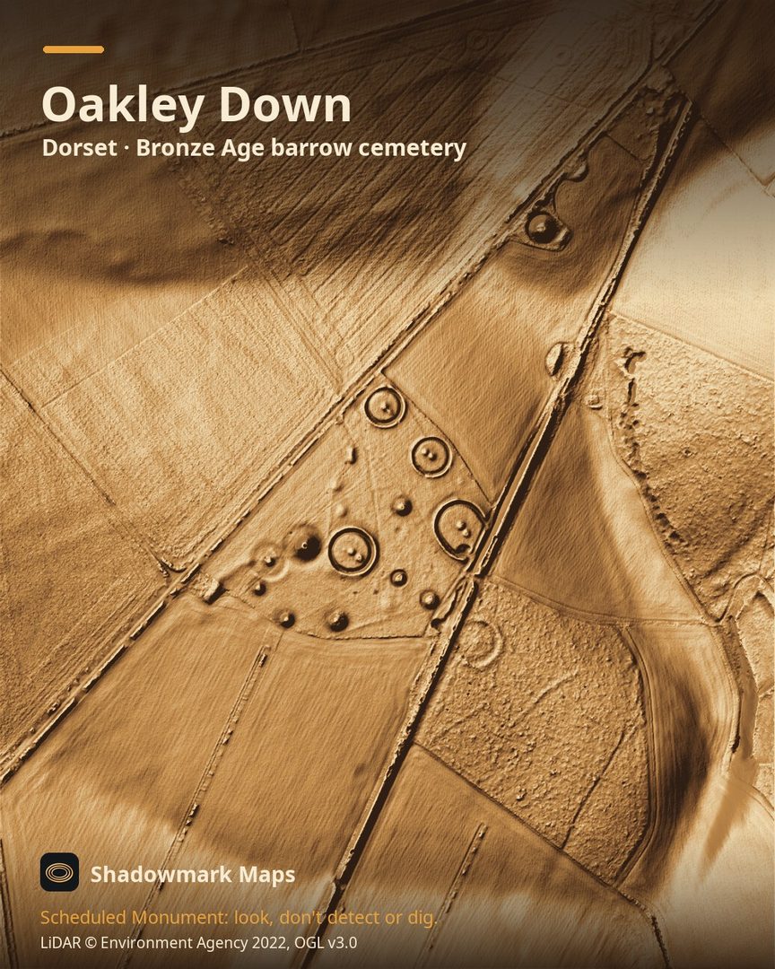 LiDAR terrain shading of Oakley Down, Dorset. Look for a cluster of round mounds and ringed disc-barrow platforms beside the raised bank of Ackling Dyke, with one disc barrow clipped by the Roman road.