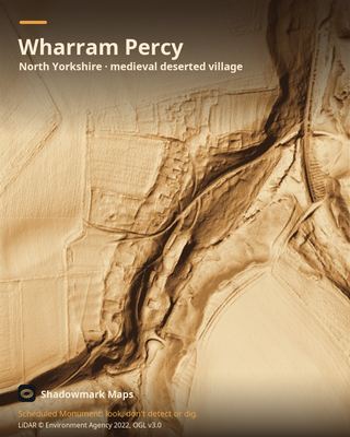LiDAR shading of Wharram Percy